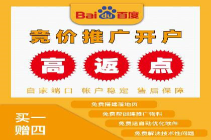 百度推广实战：案例分析与优化技巧